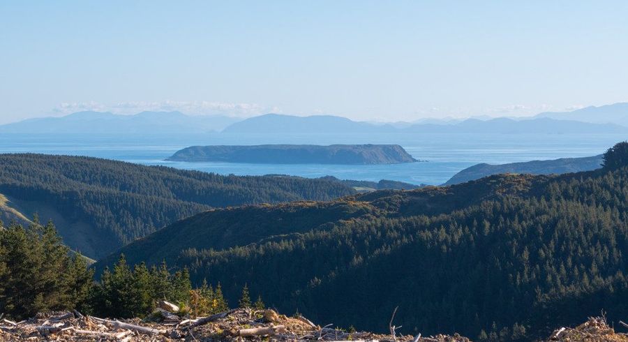  at Lot 8/669 Paekakariki Hill Road, Pauatahanui, Porirua, Wellington