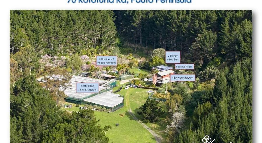  at 70 Rototuna Rd, Dargaville, Kaipara, Northland