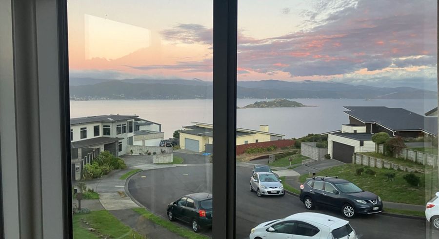  at 11 Bendigo Grove, Newlands, Wellington, Wellington