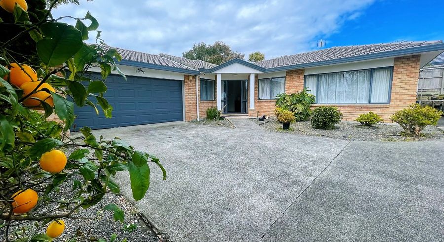  at 10 Basra Drive, Henderson, Auckland
