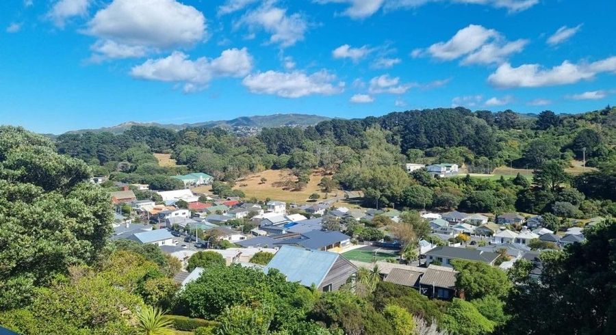  at 48 Overtoun Terrace, Hataitai, Wellington, Wellington