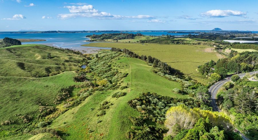  at 152 Turner Road, Whakamarama, Western Bay Of Plenty, Bay Of Plenty