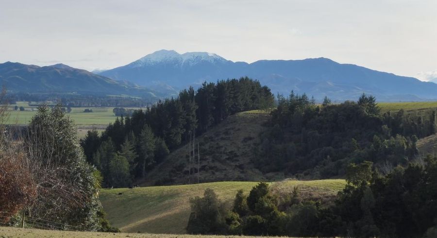  at 294 Downs Road, Geraldine Downs