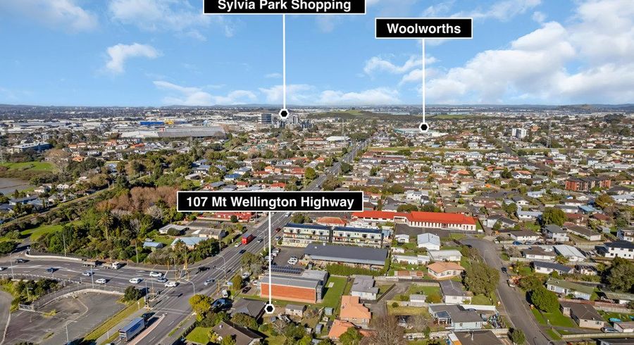  at 107 Mount Wellington Highway, Mount Wellington, Auckland City, Auckland