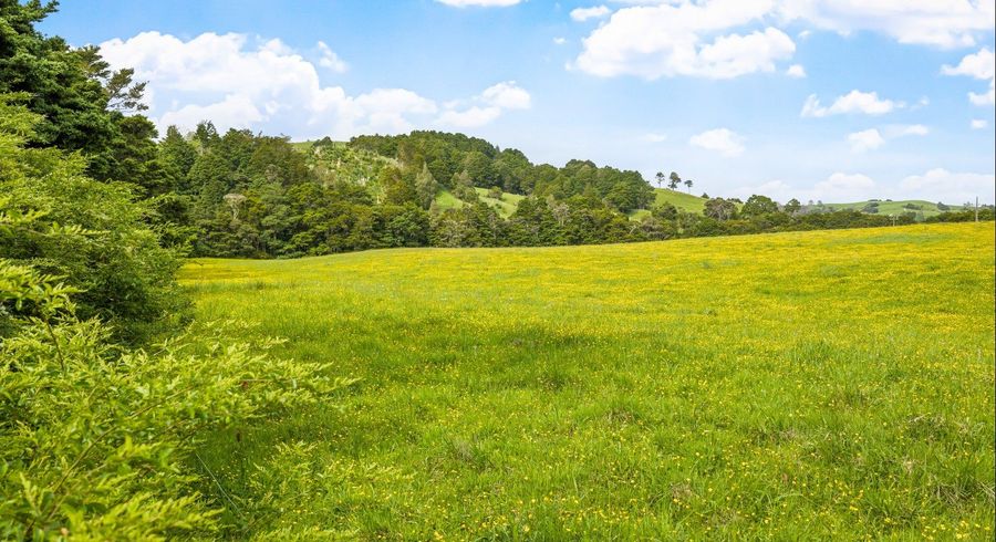  at 723 Whangaripo Valley Road, Whangaripo, Rodney, Auckland