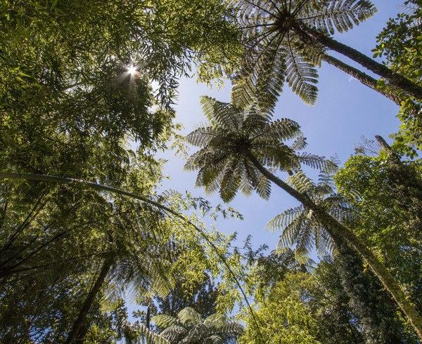  at 425B Lund Road, Katikati, Western Bay Of Plenty, Bay Of Plenty