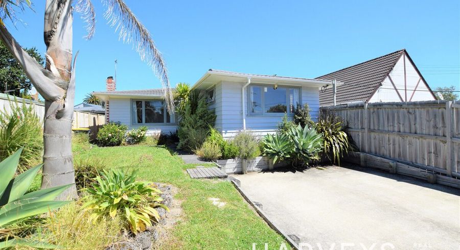  at 20 Amberley Avenue, Te Atatu South, Waitakere City, Auckland