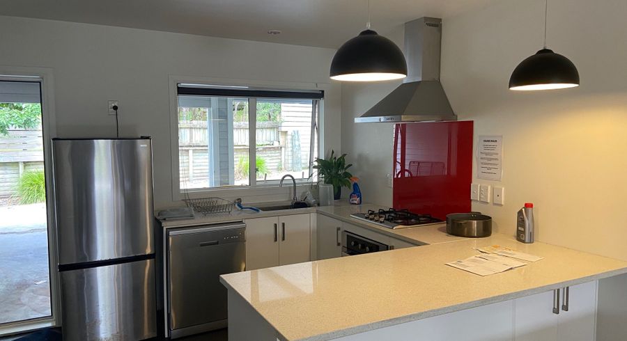 at 4/5 - Rm D Edgecumbe Street, Whitiora, Hamilton, Waikato