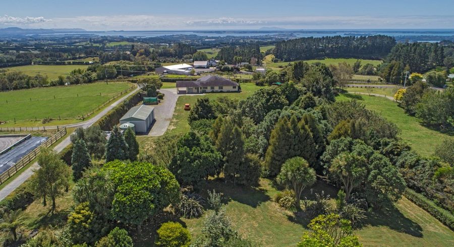  at 75A Ross Road, Tauranga