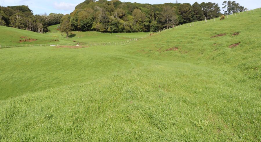  at Lt2/310 Henwood Road, Bell Block, New Plymouth, Taranaki