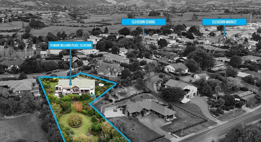  at 19 Mark Williams Place, Papakura