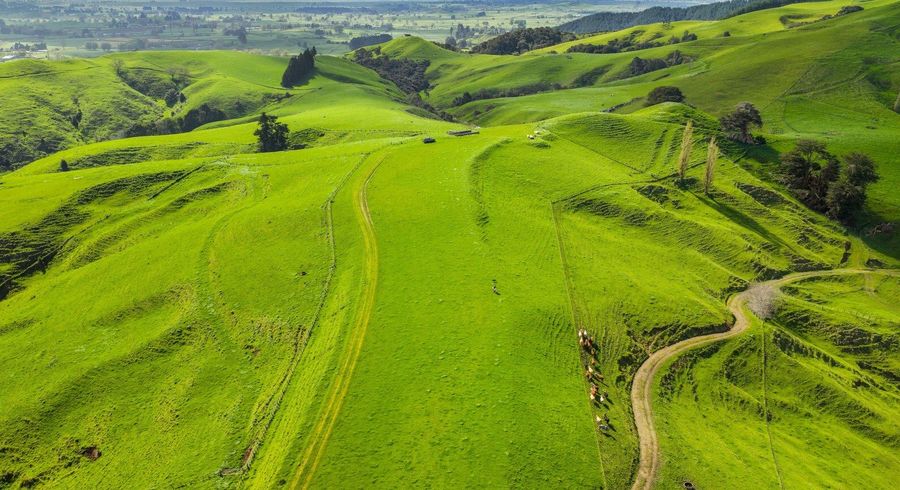  at 531 Parklands Road, Rotoorangi, Waipa, Waikato