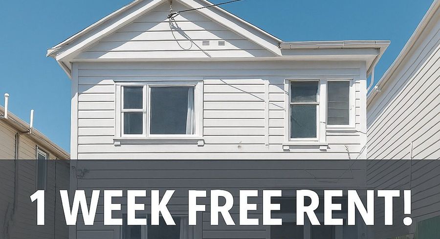  at 15b Hall Street, Newtown, Wellington, Wellington