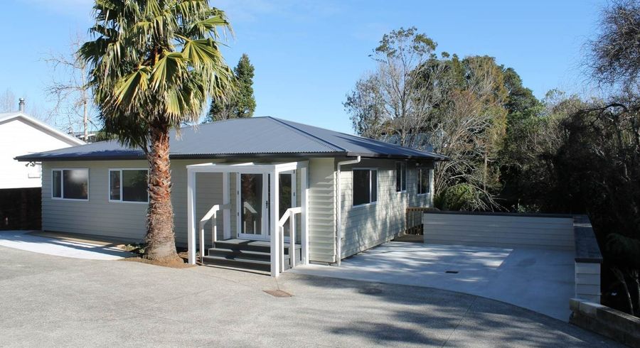  at 30A Halver Road, Hillpark, Auckland