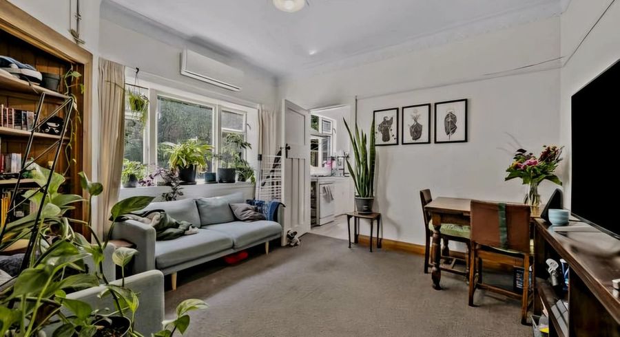  at 51 Mornington Road, Brooklyn, Wellington