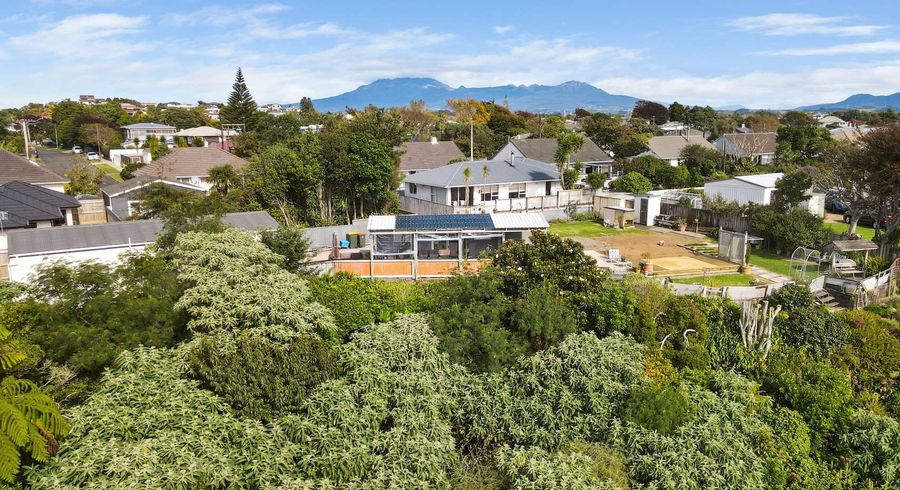  at 21a Karaka Street, Merrilands, New Plymouth, Taranaki
