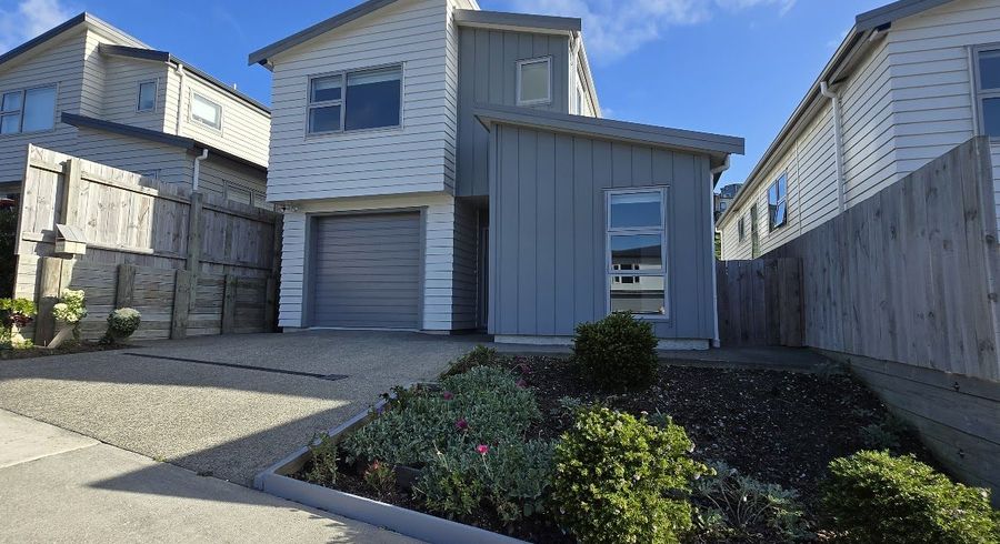  at 133 Amesbury Drive, Churton Park, Wellington, Wellington
