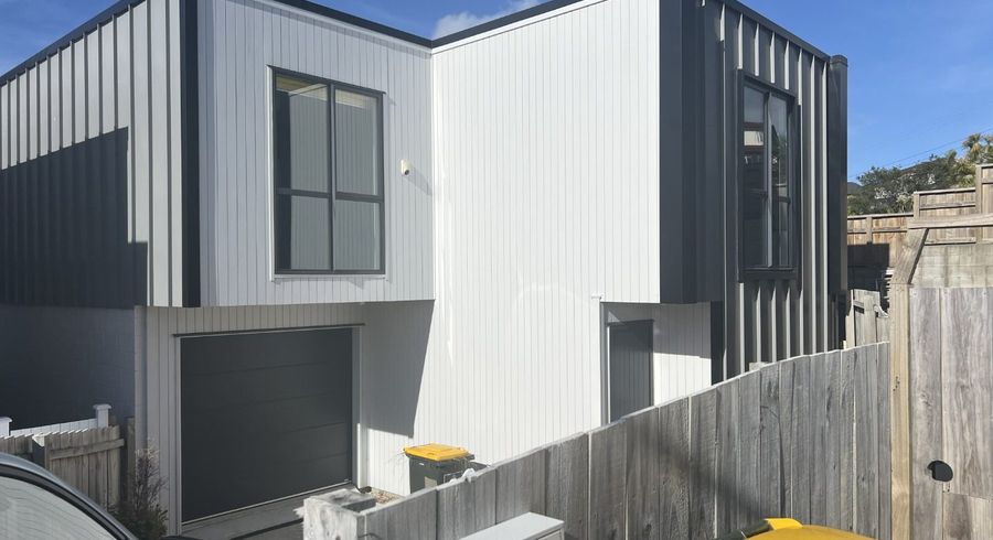  at 41 Waka Street, Albany Heights, Rodney, Auckland