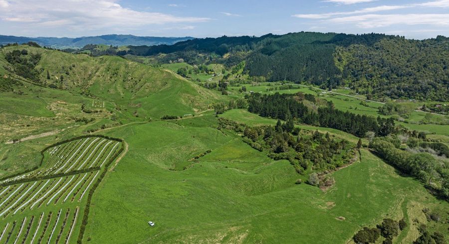  at 2338 State Highway 2, Opotiki, Opotiki, Bay Of Plenty