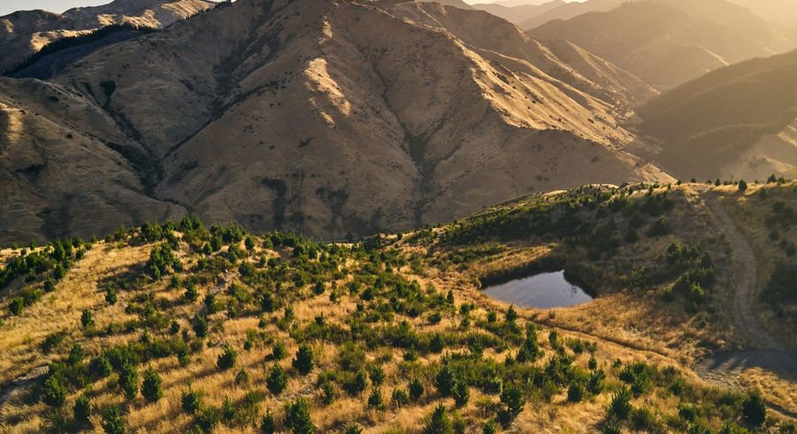  at 1067 Taylor Pass Road, Blenheim, Blenheim, Marlborough