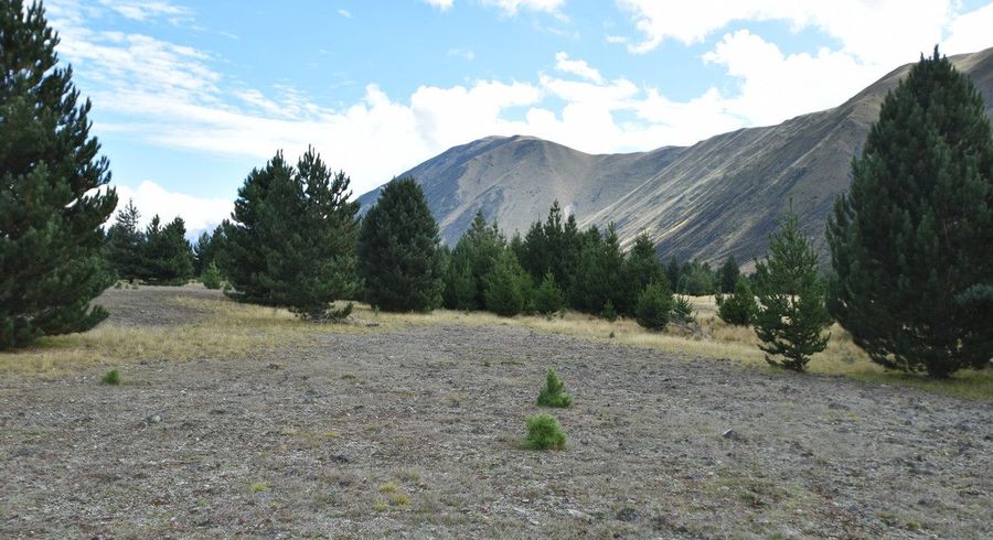  at 78 Flanagan Lane, Ben Ohau, Twizel