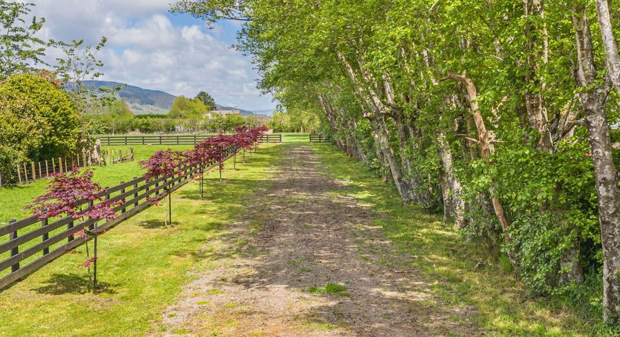  at Tararua Road, Levin, Horowhenua, Manawatu / Whanganui