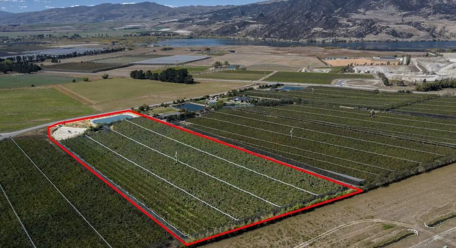  at 41 Mount Pisa Road, Cromwell, Central Otago, Otago