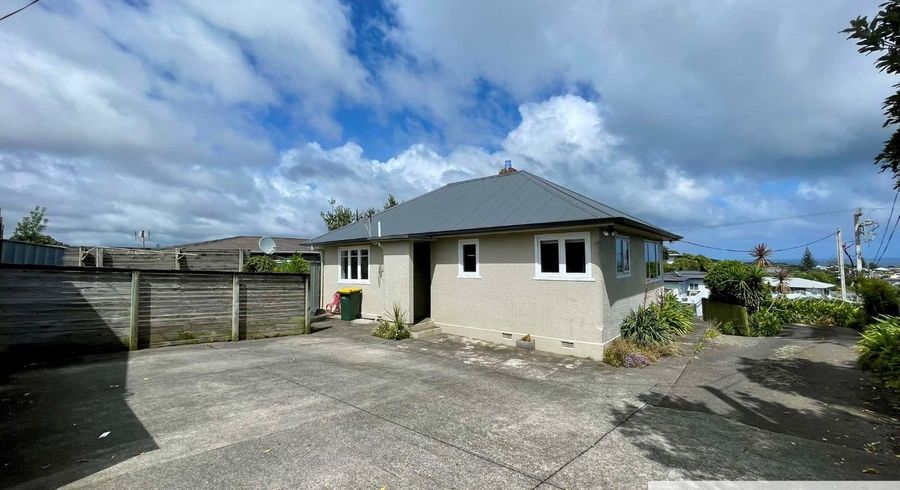  at 119 Pioneer Road, Moturoa, New Plymouth
