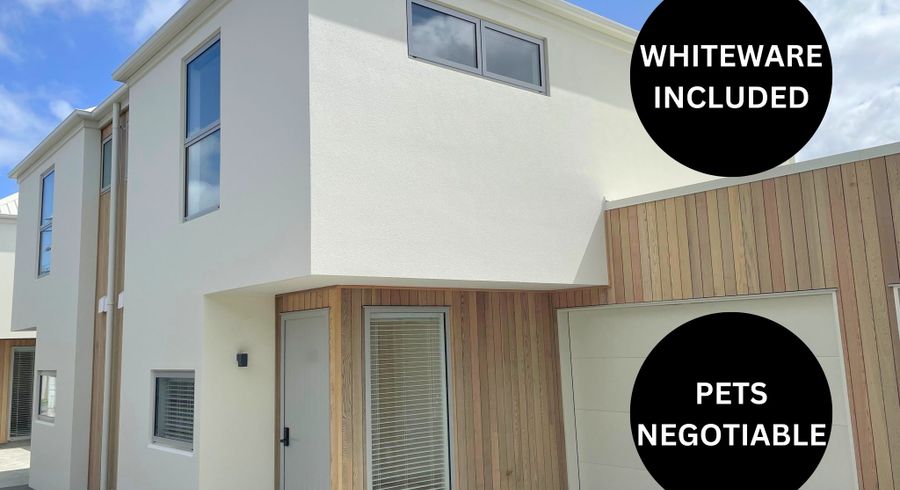  at 17c Dickens Street, Addington, Christchurch City, Canterbury