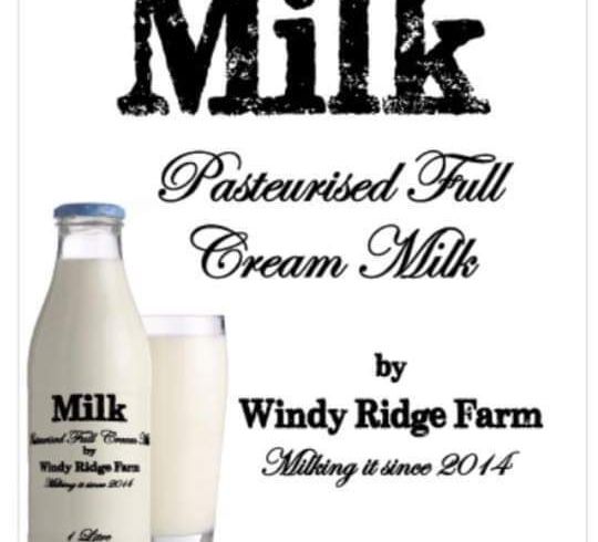  at 31 Windy Ridge Road, Benhar