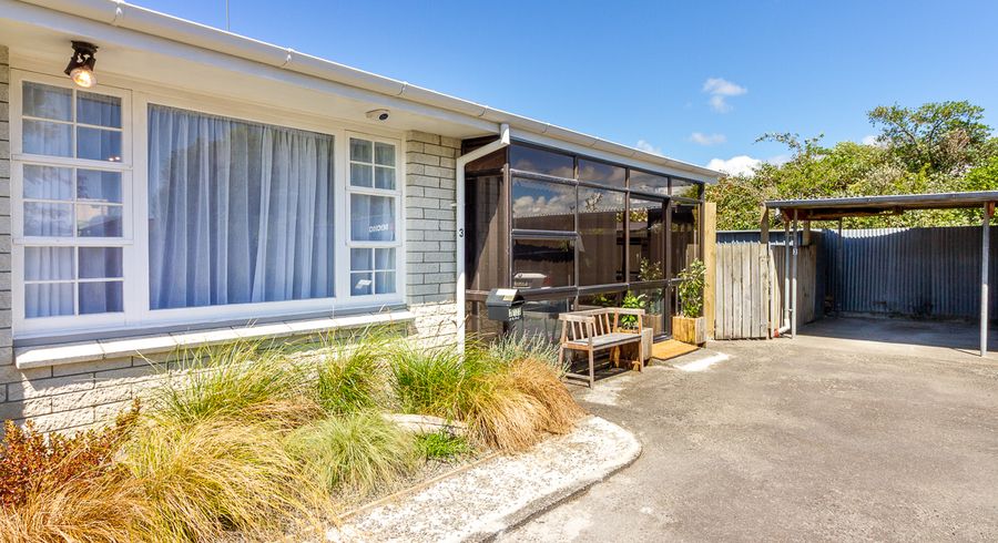  at 3/123 Vogel Street, Roslyn, Palmerston North