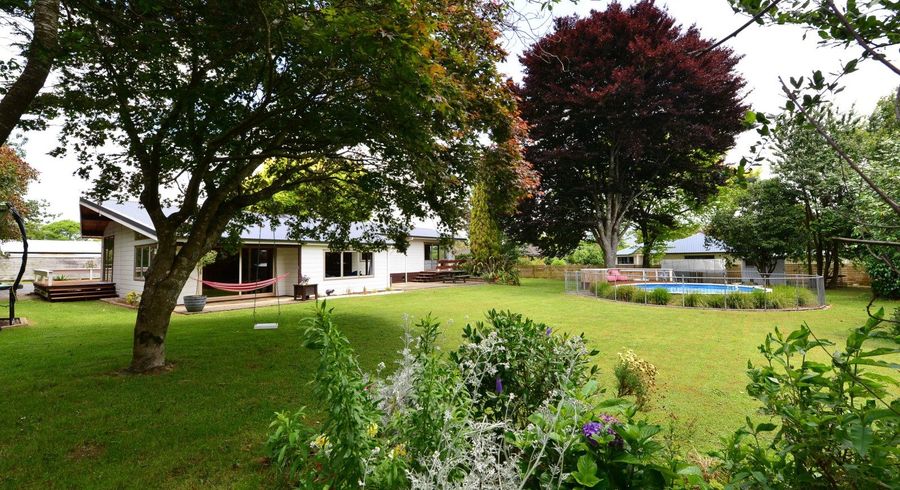 at 335 Beechey Street, Pirongia
