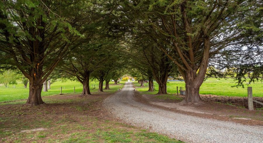  at 447 Rosewill Valley Road, Rosewill, Timaru