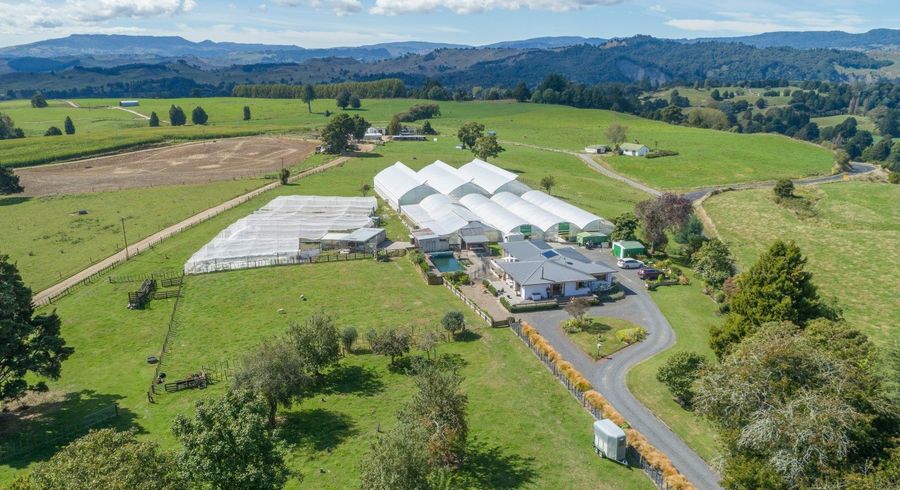  at 163 Waitea Branch Road, Ohakune, Ruapehu, Manawatu / Whanganui