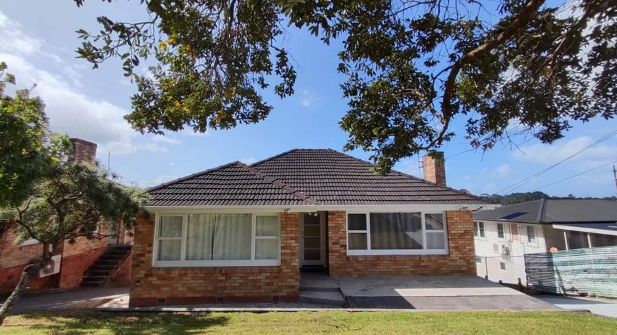  at 14 Subritzky Avenue, Mount Roskill, Auckland City, Auckland