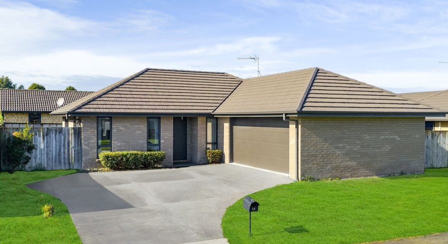  at 12 Teafields Court, Huntington, Hamilton, Waikato