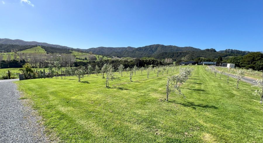  at 367 King Road, Mangawhai, Kaipara, Northland