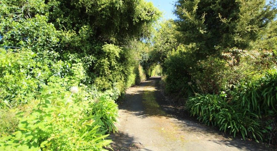  at 8A Croydon Street, North East Valley, Dunedin