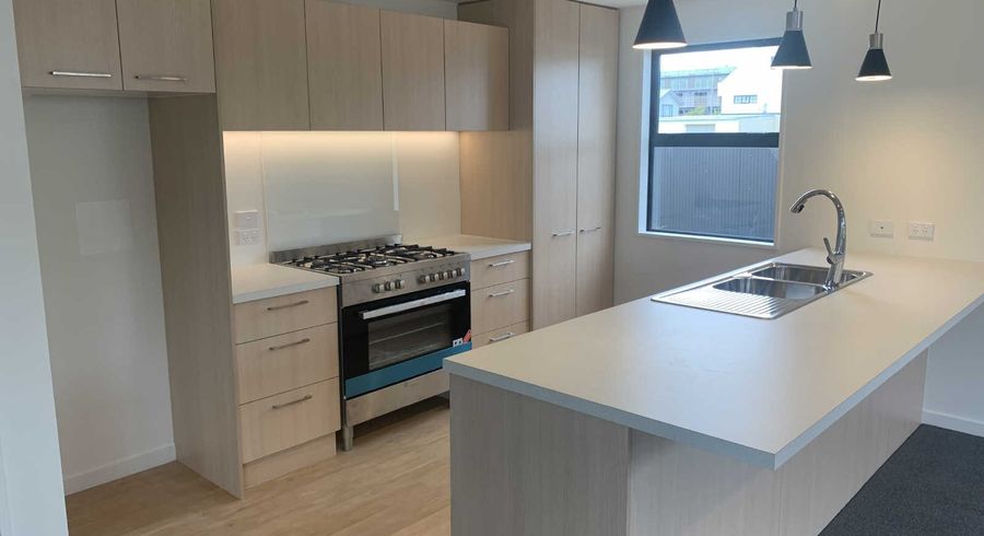  at 31 Gracefield Avenue, Christchurch Central, Christchurch