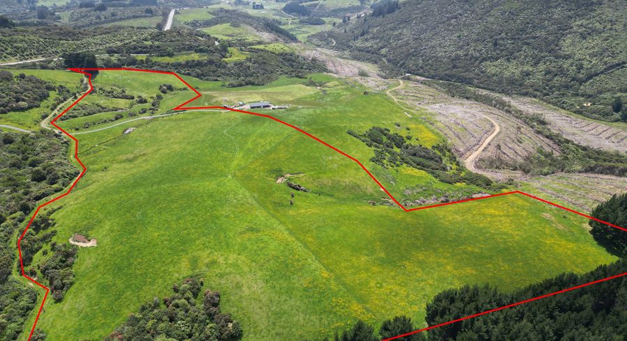  at 304B Pigeon Flat Road, Mt Cargill, Dunedin, Otago