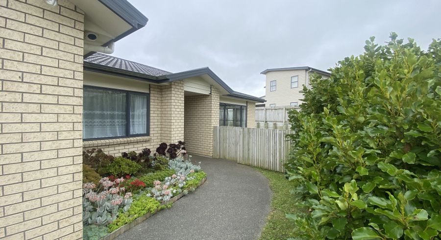  at 20 Havana Rise, Grenada Village, Wellington, Wellington