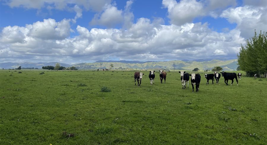  at 106 Kukutauaki Road, Koputaroa, Shannon
