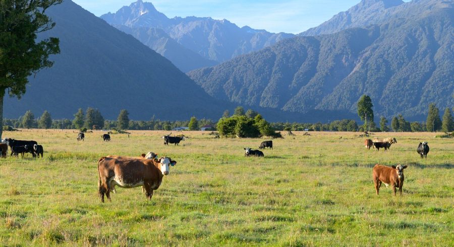  at 298 Cook Flat Road, Fox Glacier, Westland, West Coast