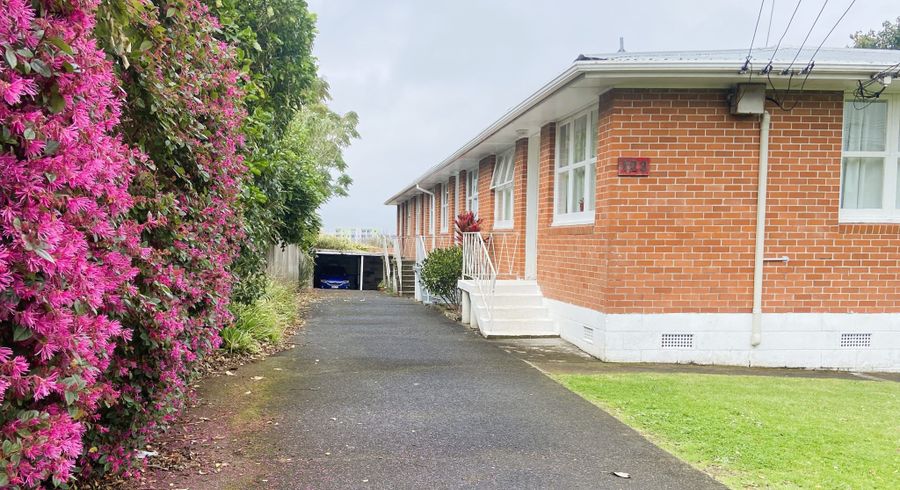  at 3/123 Selwyn Street, Onehunga, Auckland City, Auckland
