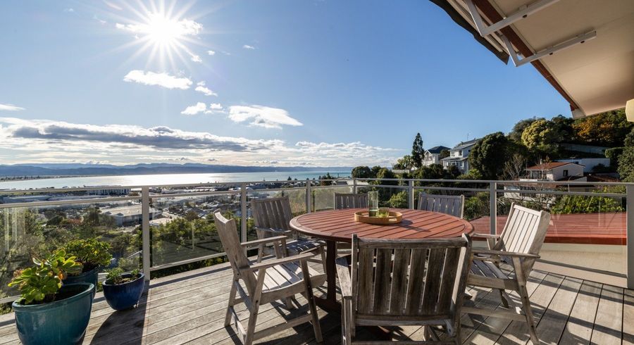  at 21 Denholm Road, Hospital Hill, Napier, Hawke's Bay