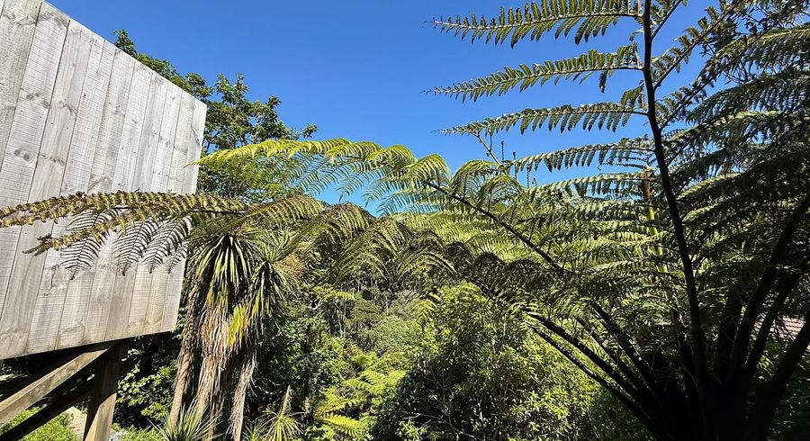  at 21B Asquith Terrace, Brooklyn, Wellington, Wellington