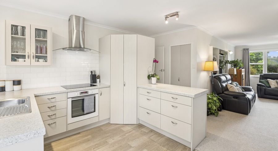  at 12 Galbraith Street, Springfield, Rotorua, Bay Of Plenty