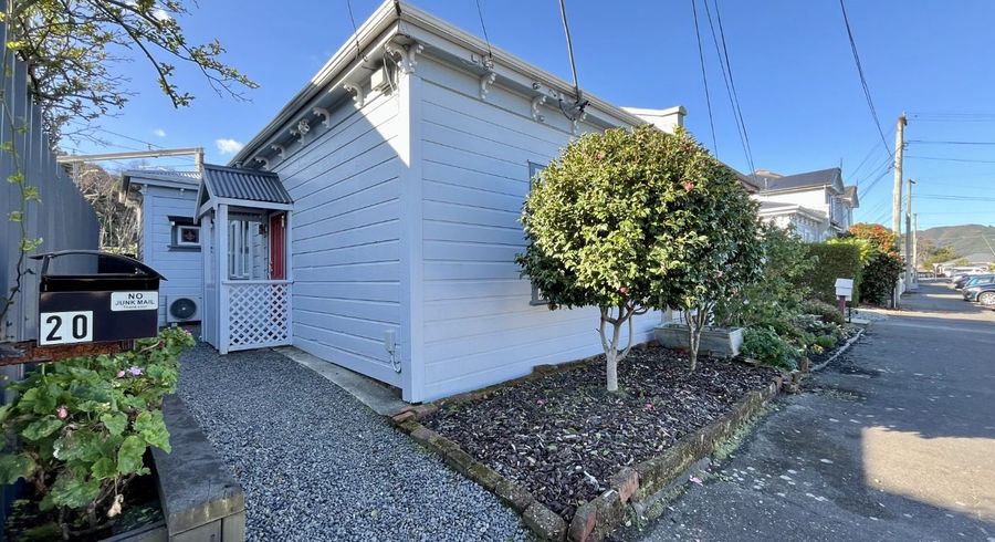  at 20 Hector Street, Petone, Lower Hutt, Wellington