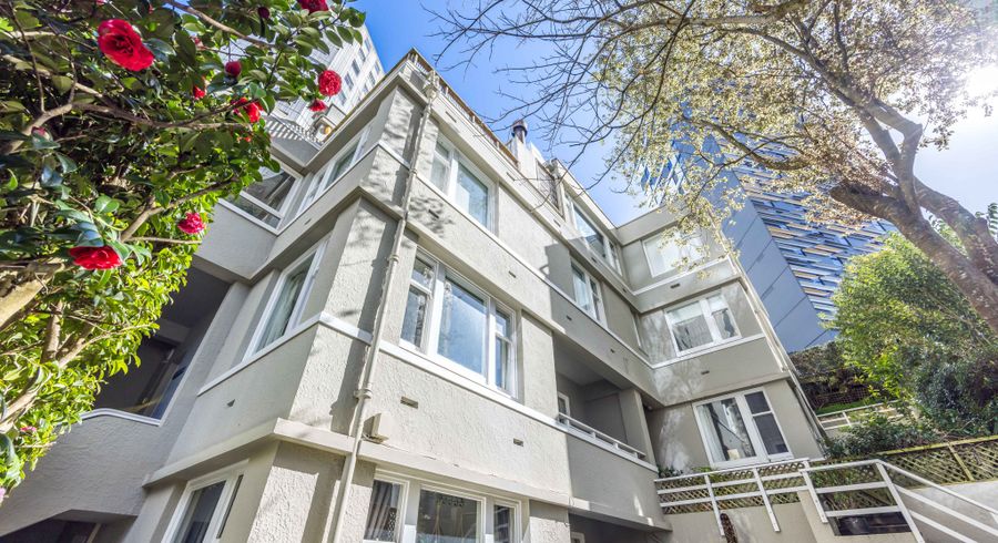  at 17D Whitaker Place, Grafton, Auckland