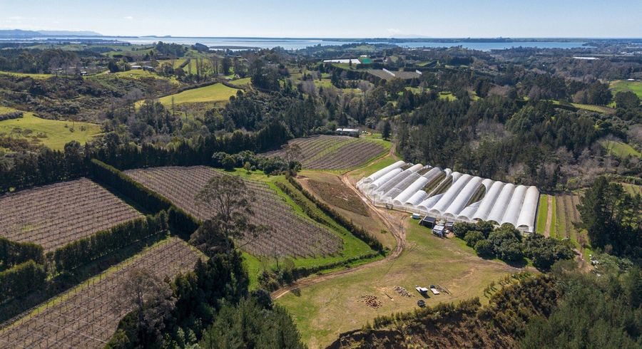  at 251B Esdaile Road, Whakamarama, Western Bay Of Plenty, Bay Of Plenty